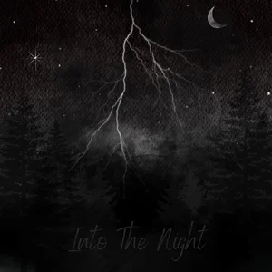 Okładka: Metal Thunder – Into The Night