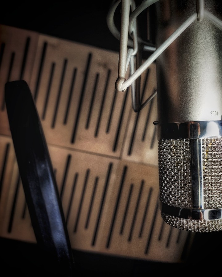 Mikrofon pojemnościowy w koszu przed panelami akustycznymi w Pulsar Studio